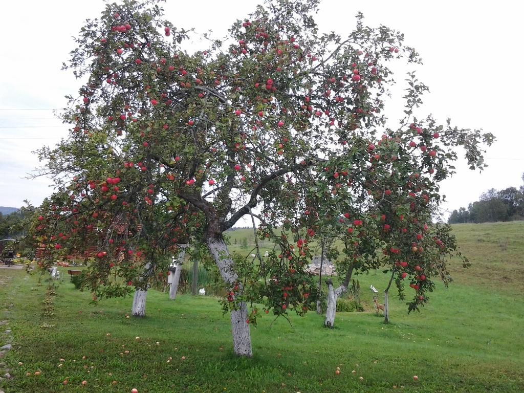 Pumpuri Villa Svente Buitenkant foto